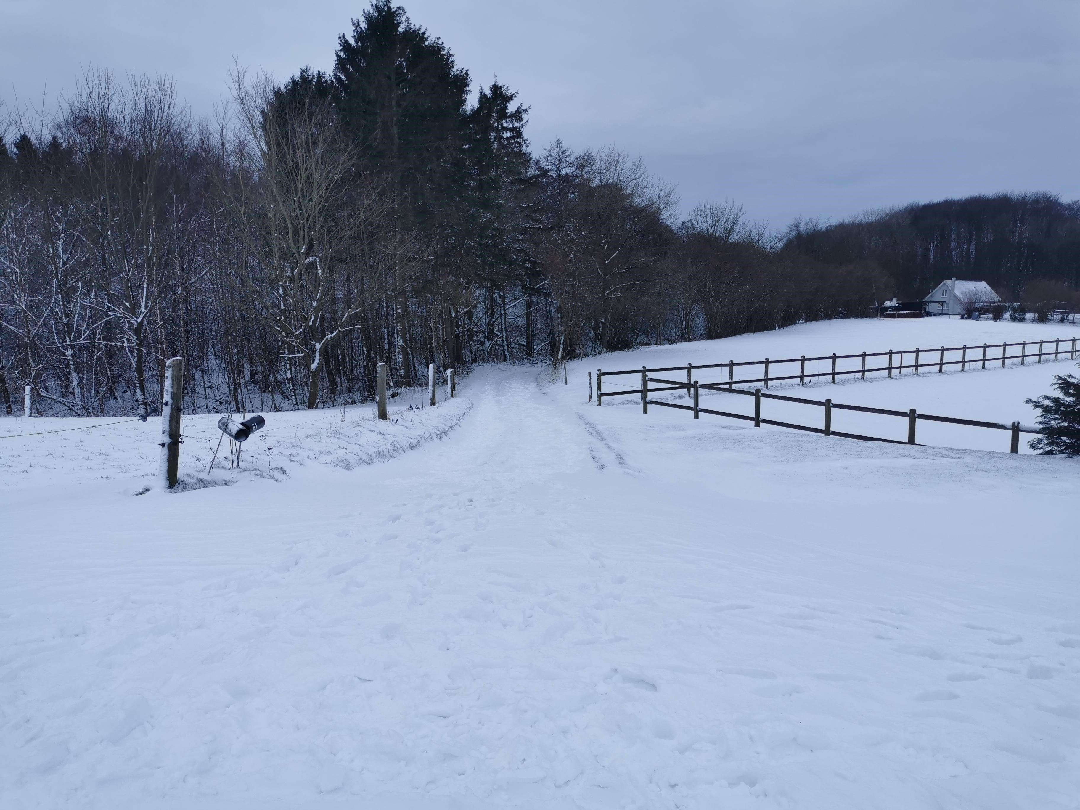 Hjælp skraldemanden i vintervejret
