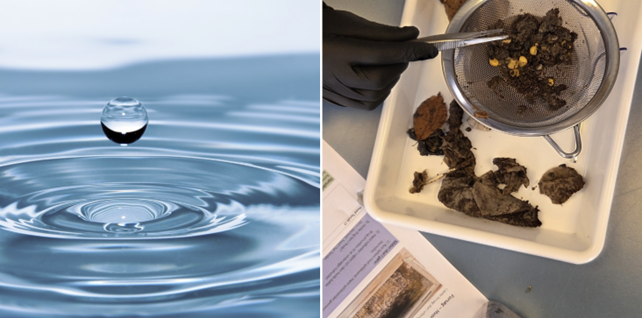 Tilbud om prøveforberedelse for afgangselever